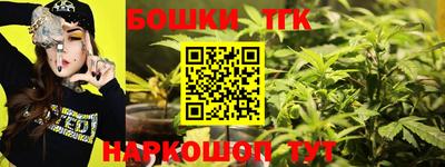 индика Ижевск