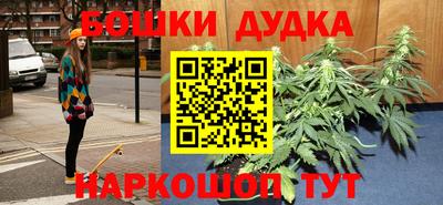 индика Ижевск
